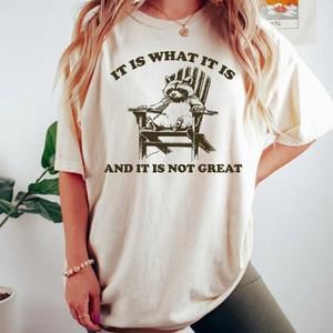 It Is What It Is And It Is Not Great Shirt, Raccoon Shirt, Retro 90's Graph